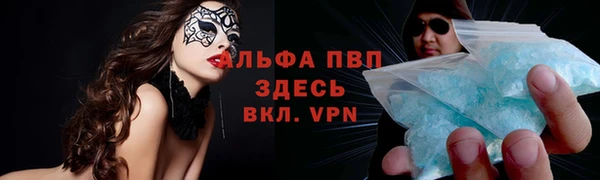 ешки Алзамай