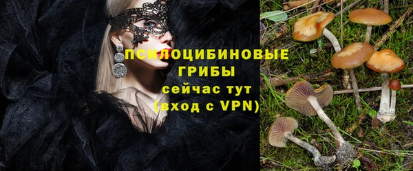 ECSTASY Алексеевка