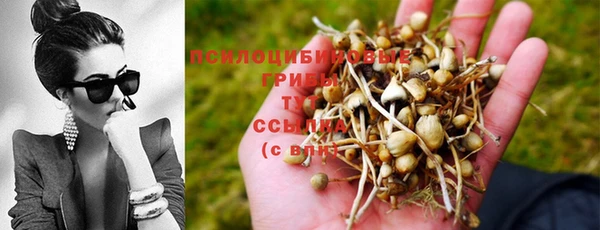 ешки Алзамай