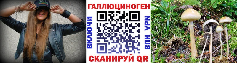 Галлюциногенные грибы прущие грибы  Шуя 